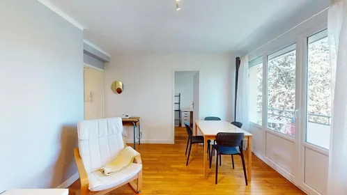 Stanza privata in Boulevard Mansart, Chevreul-Parc, immagine 8 di 10