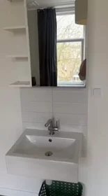 Całe miejsce Mathenesserlaan, Delfshaven, obraz 3 10