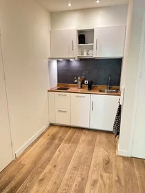 Appartamento intero in Mathenesserlaan, Delfshaven, immagine 5 di 10