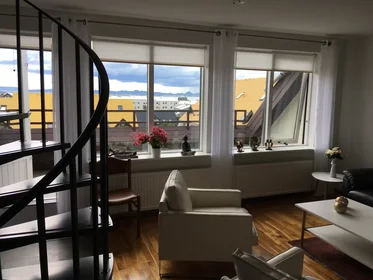Gesamte Unterkunft in der Seilugrandi, Reykjavik, bild 5 von 9