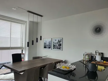 Apartamento inteiro em Bercylaan, Amsterdam-Noord, imagem 3 de 10