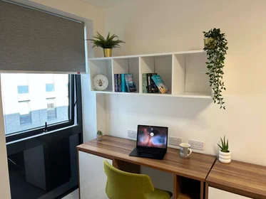 Apartamento inteiro em residência em Egerton St, Sheffield City Centre, Sheffield S1 4JX, United Kingdom, imagem 21 de 23