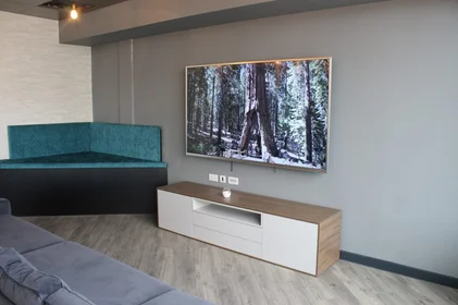 Habitación privada en residencia en Coppergate, 17–18 The Kingsway, Swansea SA1 5JZ, United Kingdom             , imagen 29 de 38