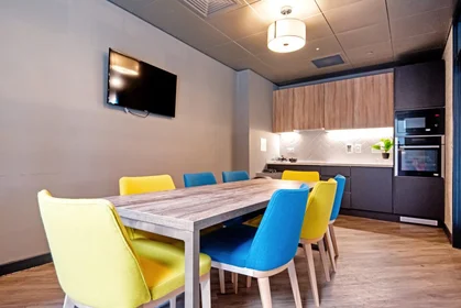 Habitación privada en residencia en Coppergate, 17–18 The Kingsway, Swansea SA1 5JZ, United Kingdom             , imagen 32 de 38
