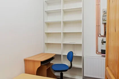 Prywatny pokój Hegergasse, 3. Bezirk-Landstraße, obraz 1 10