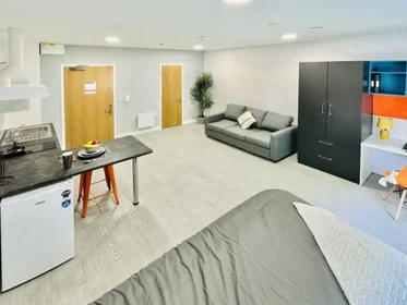 Private room in residence at 22 Agard St, Derby DE1 1DZ, United Kingdom, image 14 of 23