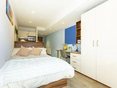 Kawalerka w rezydencji 4 Greyfriars Rd, Reading RG1 1NG, United Kingdom, obraz 3 20