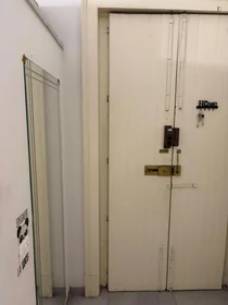 Chambre privée à Via Francesco Cilea, image 11 de 11