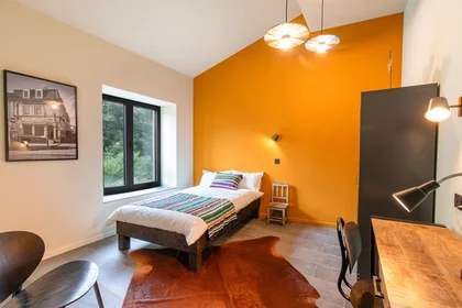Private room at Rue de la Caserne, Arrondissement of Arlon, image 1 of 8