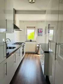 Entire apartment at Molukkenstraat, Galgenveld, image 7 of 10
