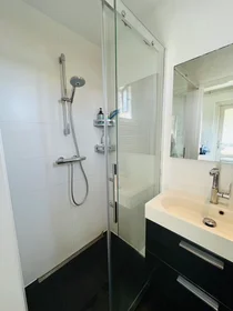 Entire apartment at Molukkenstraat, Galgenveld, image 10 of 10