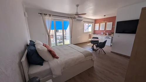 Appartamento intero in Boulevard Maréchal Foch, Vieil Antibes, immagine 3 di 10