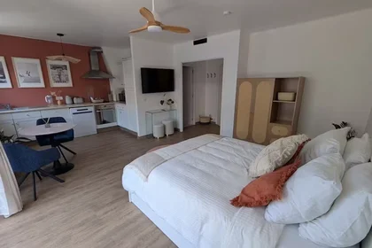 Appartamento intero in Boulevard Maréchal Foch, Vieil Antibes, immagine 4 di 10