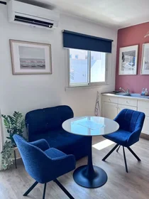 Appartamento intero in Boulevard Maréchal Foch, Vieil Antibes, immagine 8 di 10