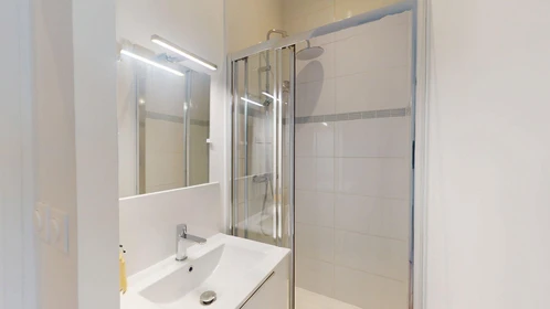 Quarto privado em 1 Rue Manescau, Pau 64000, imagem 23 de 42