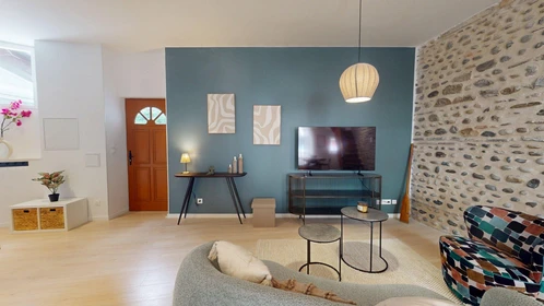 Quarto privado em 1 Rue Manescau, Pau 64000, imagem 28 de 42