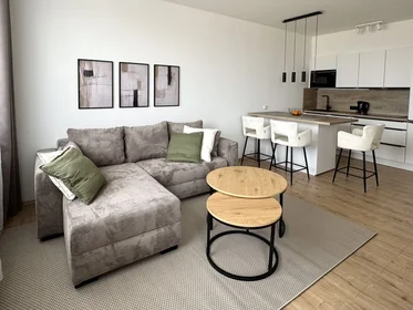 Logement entier à náměstí Olgy Scheinpflugové 1284/2, image 1 de 20