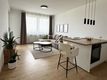 Logement entier à náměstí Olgy Scheinpflugové 1284/2, image 2 de 20