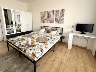 Logement entier à náměstí Olgy Scheinpflugové 1284/2, image 11 de 20