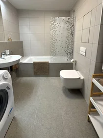 Logement entier à náměstí Olgy Scheinpflugové 1284/2, image 12 de 20