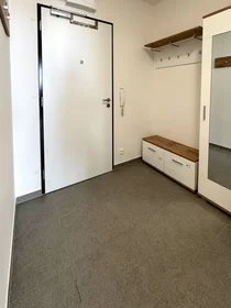 Logement entier à náměstí Olgy Scheinpflugové 1284/2, image 14 de 20