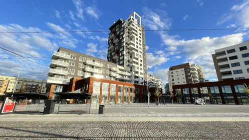 Logement entier à náměstí Olgy Scheinpflugové 1284/2, image 18 de 20