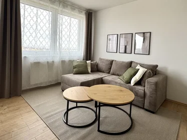 Logement entier à náměstí Olgy Scheinpflugové 1284/2, image 3 de 20