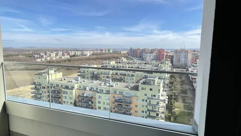 Logement entier à náměstí Olgy Scheinpflugové 1284/2, image 8 de 20