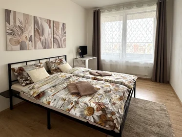 Logement entier à náměstí Olgy Scheinpflugové 1284/2, image 9 de 20