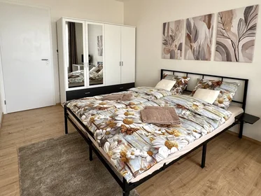 Logement entier à náměstí Olgy Scheinpflugové 1284/2, image 10 de 20