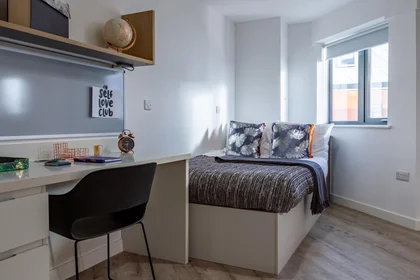 Özel oda konumu The Fitzalan Cardiff CF24 0AN, 1 7 görüntüsü