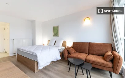 Entire apartment at rue des palmiers, image 16 of 19
