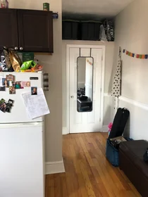 Całe miejsce w rezydencji 1197, Commonwealth Ave., Unit 16, Allston, Boston, MA, 02134, obraz 15 20