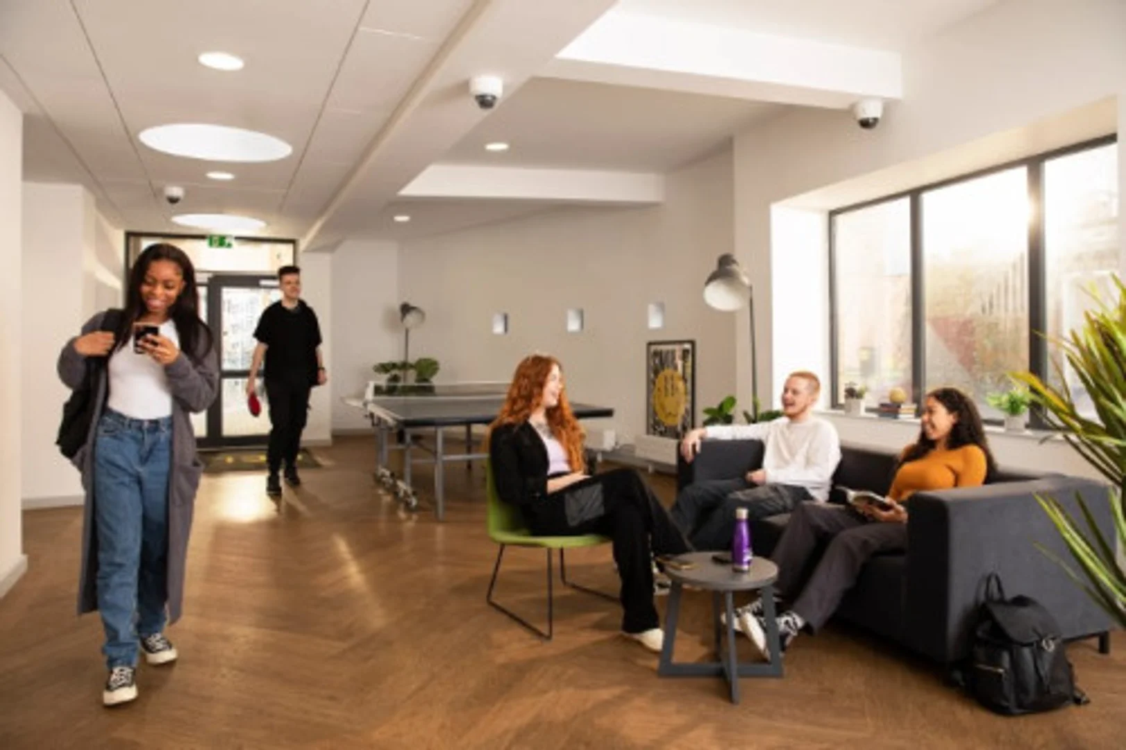 Affordable room for students with ample lighting in 