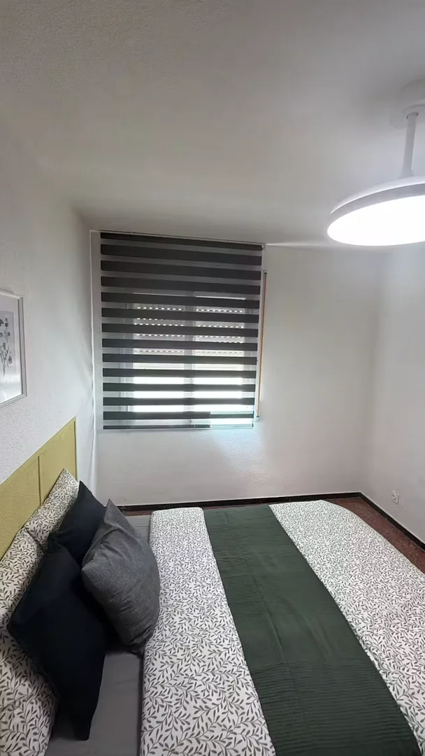 Affordable room for students with ample lighting in