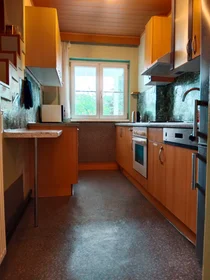 Chambre privée à Triestinggasse, 21. Bezirk-Floridsdorf, image 9 de 10