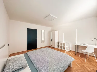 Chambre privée à Staňkova, Praha 11, image 3 de 10