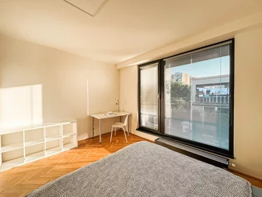 Chambre privée à Staňkova, Praha 11, image 4 de 10