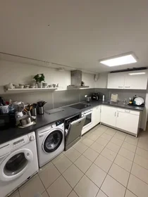Chambre privée à Staňkova, Praha 11, image 8 de 10