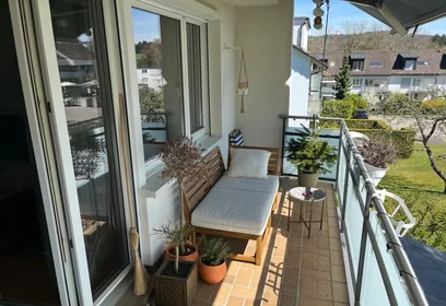 Entire apartment at Langwattstrasse, Zollikerberg, image 1 of 10