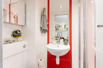 Privatzimmer in der Olympic Way Unite London HA9 0FR, bild 8 von 8