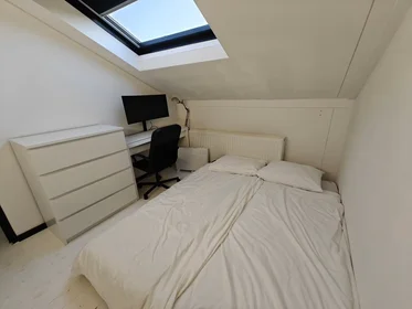 Całe miejsce Max Heymansstraat, Prins Alexander, obraz 7 10