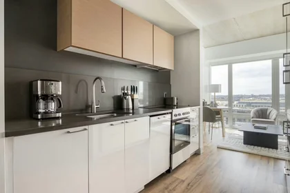 Całe miejsce Boylston Street, West Fens, obraz 5 10