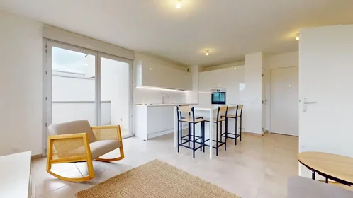 Entire apartment at Rue du Docteur Goy, Reignier, image 8 of 10
