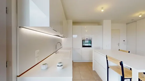 Entire apartment at Rue du Docteur Goy, Reignier, image 9 of 10