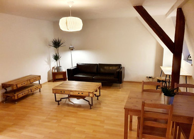 Komplette Wohnung voll möbliert in Dresden