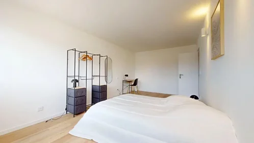 Stanza privata in Rue de Meyrin, , immagine 4 di 10