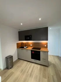 Stanza privata in Rue de Meyrin, , immagine 4 di 10