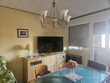 Entire apartment at Via Ugo Foscolo, , image 4 of 10