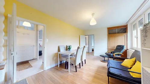 Habitación privada en Boulevard d'Haussonville, Haussonville/Blandan/Donop, imagen 1 de 10